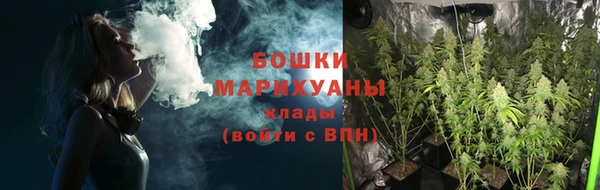 дмт Дмитровск